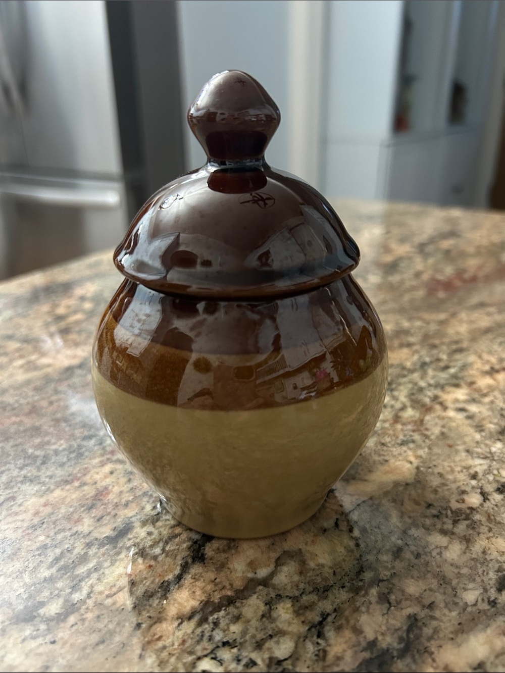 Stoneware Ceramic Lidded Jar in Brown and Tan - Home Art